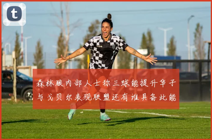 森林狼内部人士称三球能提升华子与戈贝尔表现联盟还有谁具备此能力