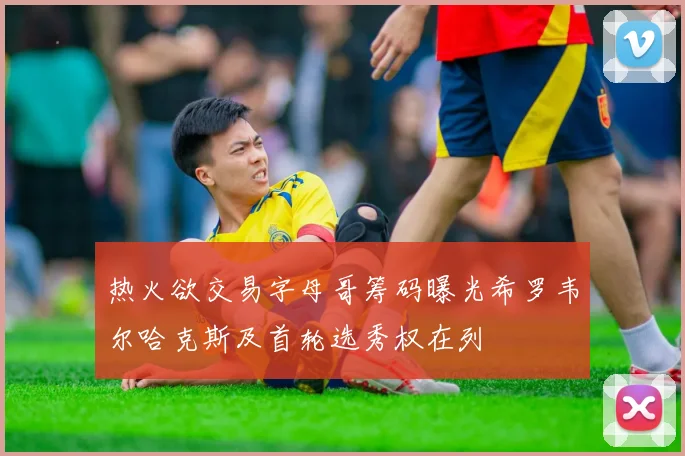 热火欲交易字母哥筹码曝光希罗韦尔哈克斯及首轮选秀权在列